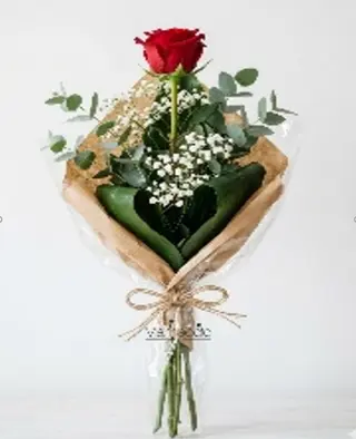 Rosa rossa singola