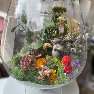 Copa del libro de la selva