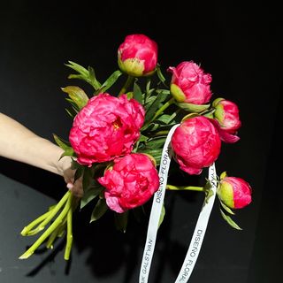 Ramo de 7 Peonias Rosadas