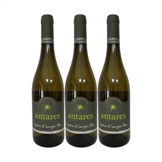Antares Souvignon Blanc 