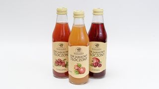 Sok tłoczony z domu Rembowskich 250 ml