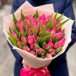 Букет із 51 рожевого тюльпану
