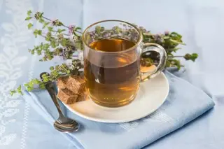 Menta Poleo