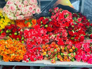 Mazzo di rose rampicanti