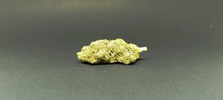 Sorbet Indoor Premium Flor Indoor 3Gr.