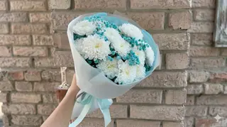 ცისფერი ჰარმონია 