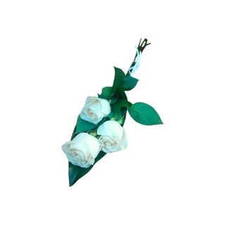 3 Rosas Brancas