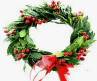 Corona Laurea : alloro e nastro 