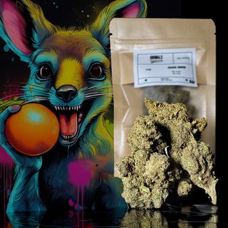 5Gr Orange Haze Indoor CBD