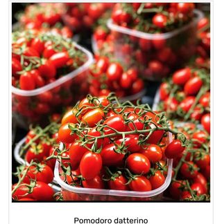Pomodoro datterino Italia 500 gr. ca.