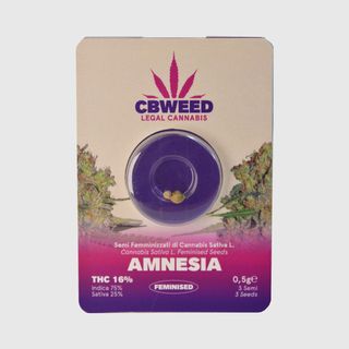 Cbweed Feminised seed THC Amnesia n.3 