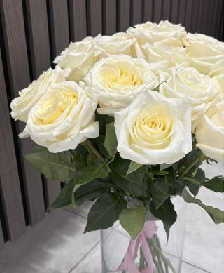 Róża piwoniowa biała