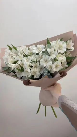 თეთრი ალსტრომერიები