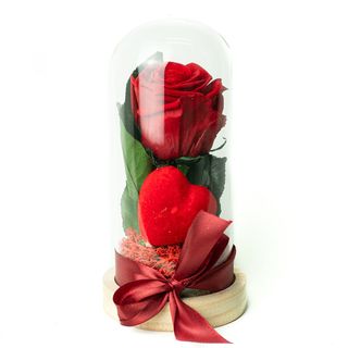 Cúpula con Rosa Eterna