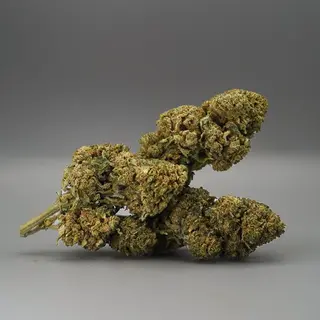 Banana Nano 9 1G