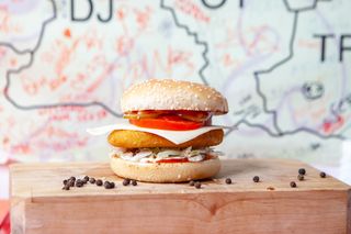 Veggie Burger (300gr)