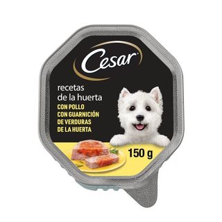 0.15 KG Cesar Recetas de la huerta Tarrina en Paté y Gelatina para Perros
