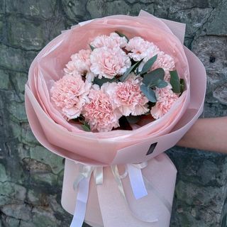 Сяюча Міліса 