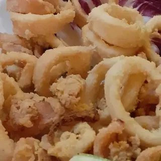 PP Calamaretto
