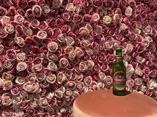 Tsingtao 33 cl