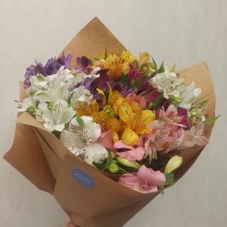 ალსტრომერია ფერადი ( 30 ცალი )