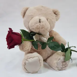 Oso Tedy Rosa Roja