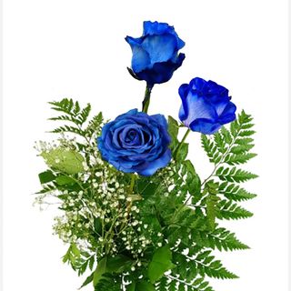 3 rose blu 
