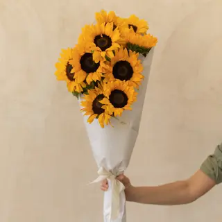 Pomo de 10 girasoles