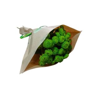Margaridas Verdes