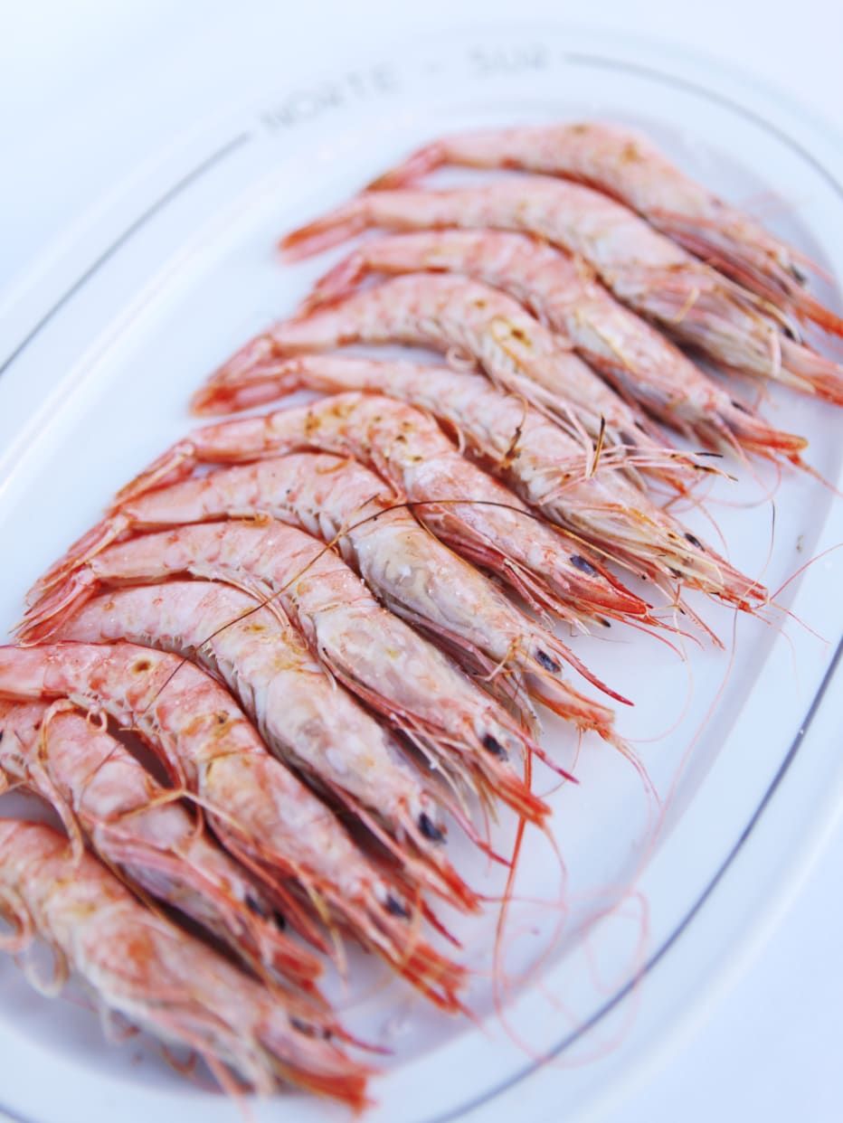 Gamba Blanca