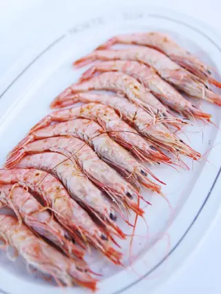 Gamba Blanca
