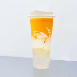 Mango Yogurt Cremoso 