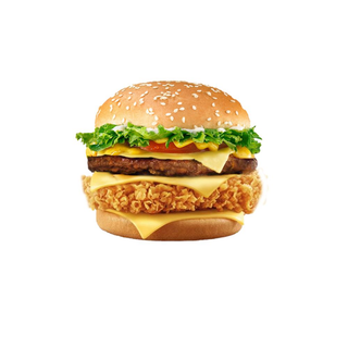 Burger Mixte