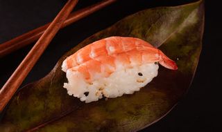 Nigiri Langostino  (1 Ud.)