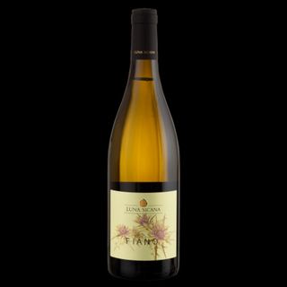 LUCA SICANA FIANO DOC BIO