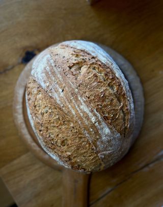 Paine Integrala Seminte