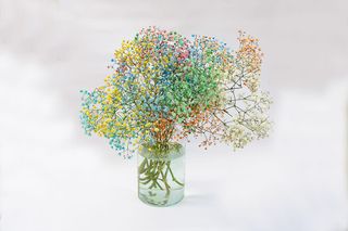 Kolorowa gipsówka S( mały)