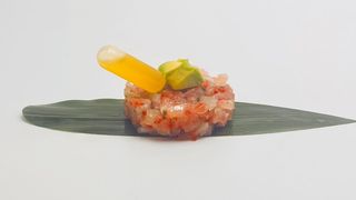226 - Tartare branzino
