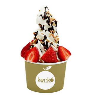 Yogur Helado Sin Azúcar (Con Stevia)(1 Lt.)