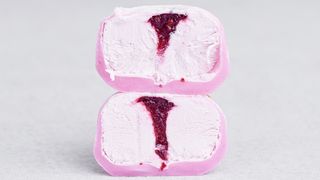 12.Leśna Rozkosz Mochi Mochi ICE