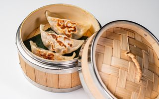 Gyoza pollo e verdure 5 pezzi