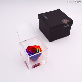 FlowerCube Rosa Preservada Rainbow