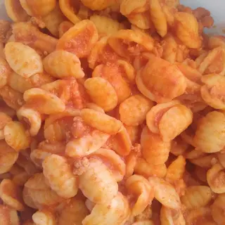 bolognese