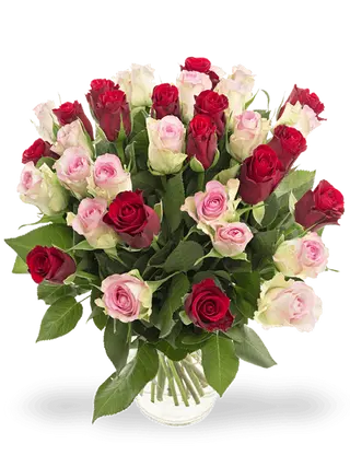 24 Rose Misto colore 