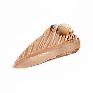 Porción Happy Hippo