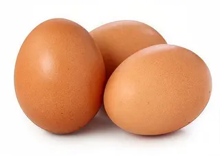 Œuf