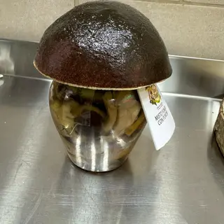 FUNGHI SOTT'OLIO CON FUNGO PORCINO