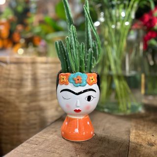 Frida pequeña con planta