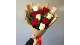 Romeo Red&White