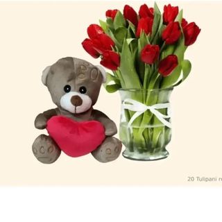 20 tulipani rossi con pelushe piccolo 